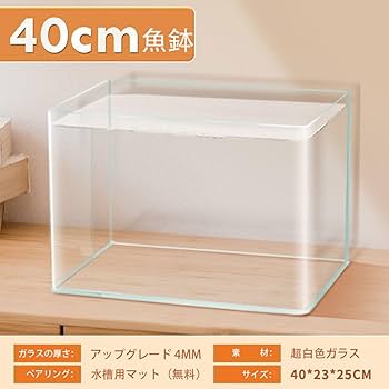 ガラス小鉢　ＭＡ648 71rLffgwU7L._AC_UL210_SR210,